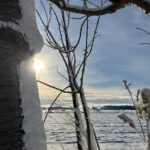 Mit Schnee bedeckte Felder.