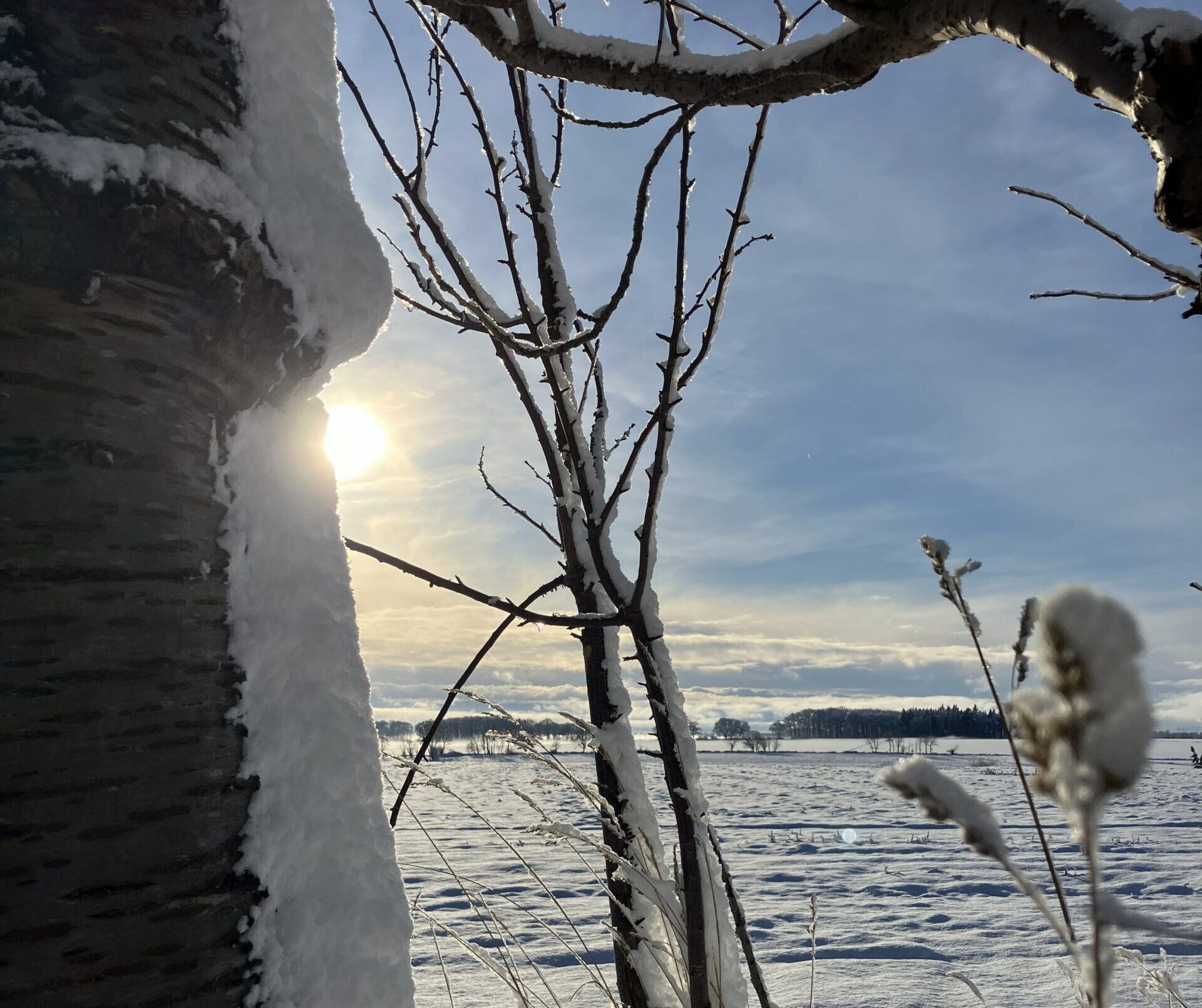 Mit Schnee bedeckte Felder.